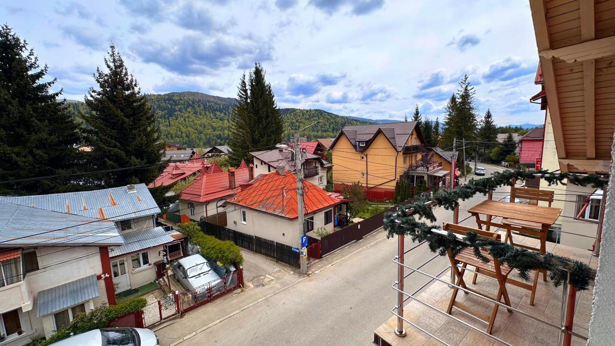 Valea Alba View - Self Check-in בוסטאני