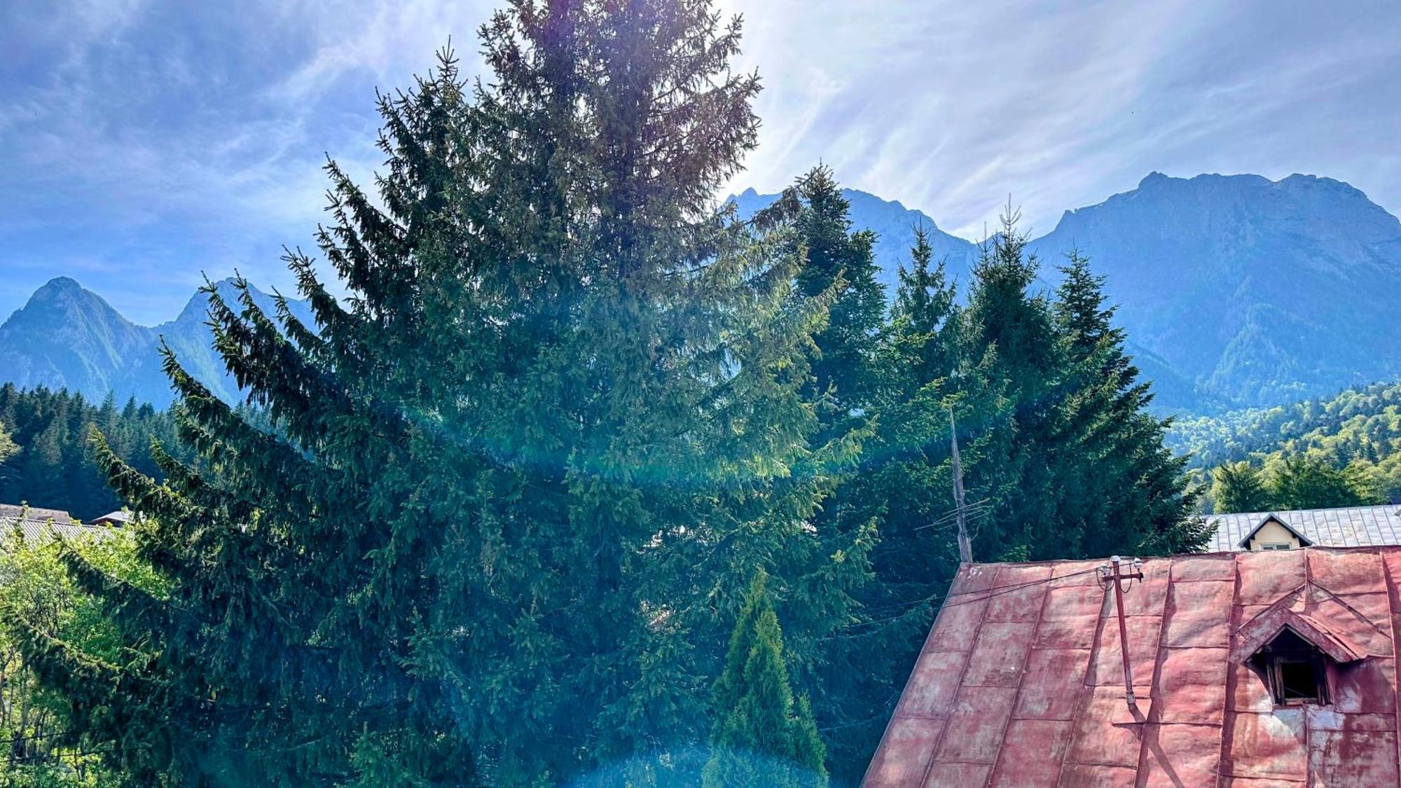 Valea Alba View - Self Check-in Affittacamere Buşteni