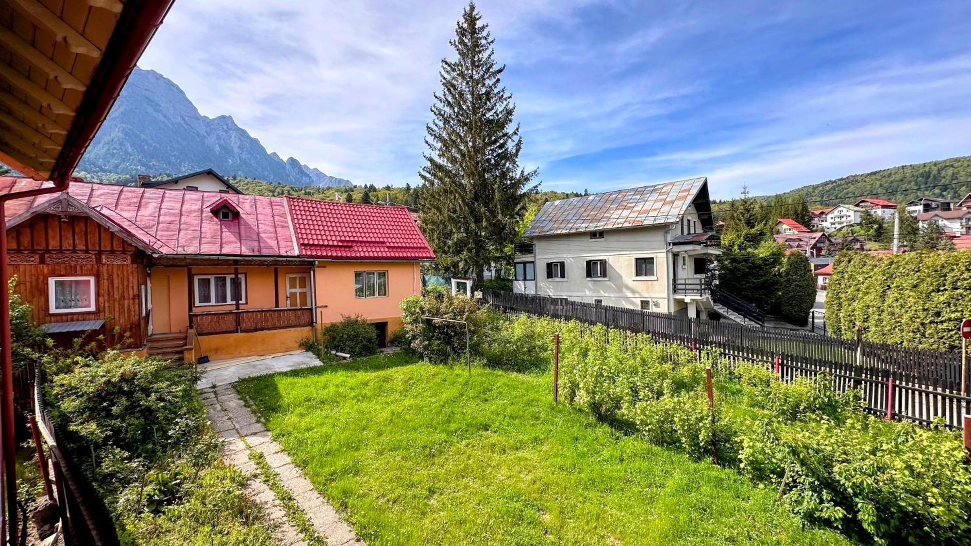 Affittacamere Valea Alba View - Self Check-in Buşteni