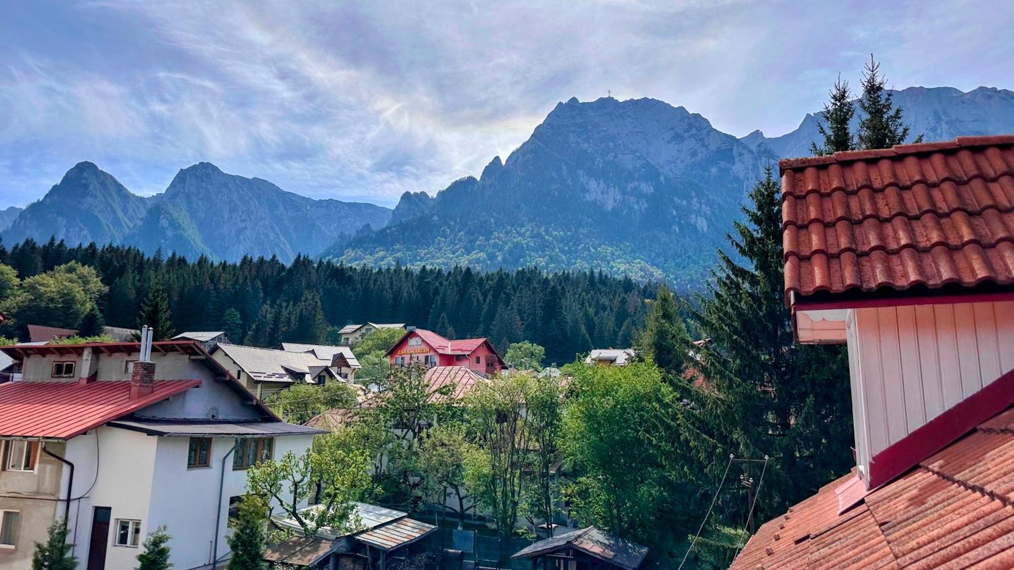 Affittacamere Valea Alba View - Self Check-in Buşteni